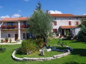 Luxurious Apartment in ajini Croatia with Swimming Pool